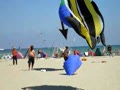 Arrow Kite