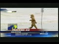 Bear Ike