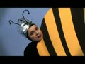 bees