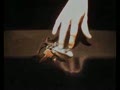 fingerboard
