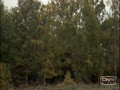 How Not To Be Seen