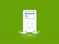 Ipod Flea