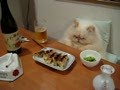 Japanese Garfield