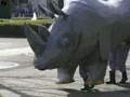 Japanese Rhino Drill