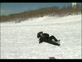 Reporter Owned By Sled