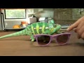 Super Chameleon