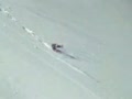 Sweet Ski Jump
